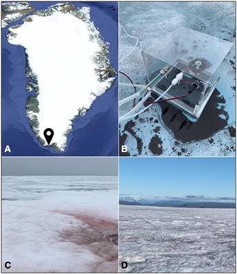 Greenland Ice Sheet Surfaces Colonized by Microbial Communities Emit Volatile Organic Compounds